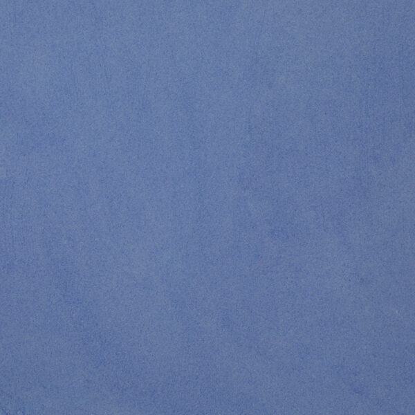 Powder Dark Blue Transparent