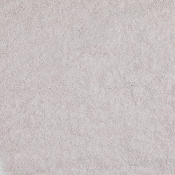 Powder Light Purple Transparent