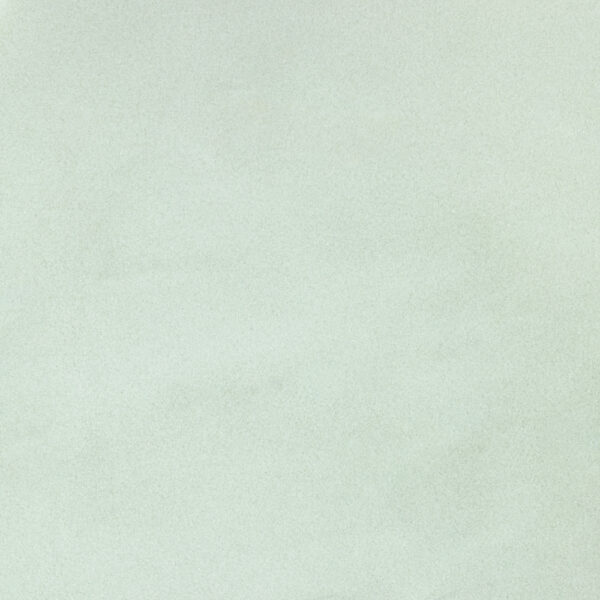 Powder Light Olive Transparent