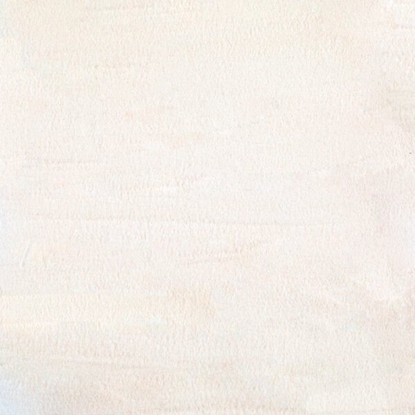 Powder Pink Champagne Transparent