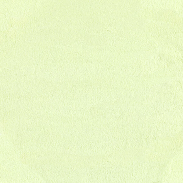 Powder Lime Transparent