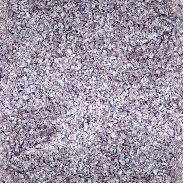 Medium Lilac Opal